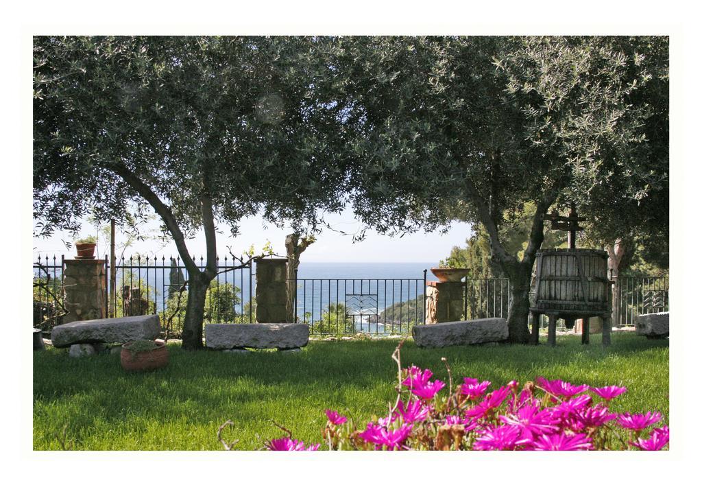 Villa Michela Tra Cielo E Mare ガエータ 部屋 写真